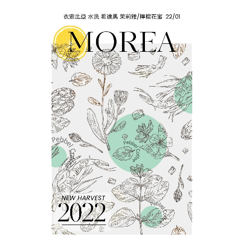 衣索比亞 希達馬 檸檬花蜜/茉莉雅 水洗