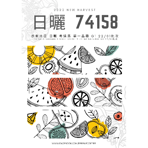 衣索比亞 希達馬 卡拉莫 日曬 G1 74158