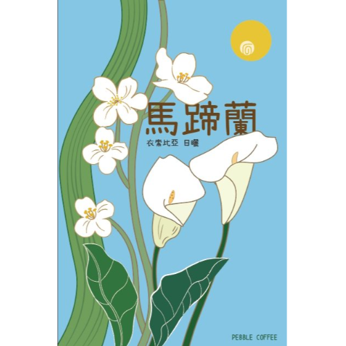 衣索匹亞 日曬 古吉 罕貝拉 瓦米娜鎮 馬蹄蘭/塔塔加優 G1