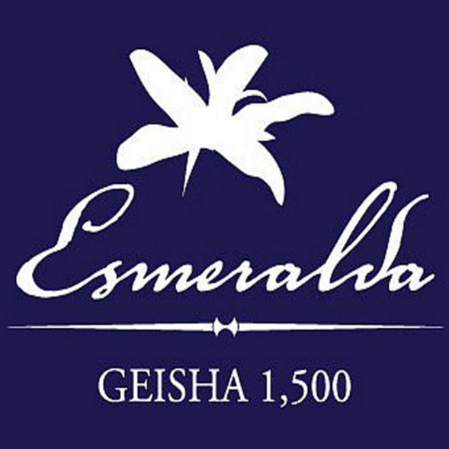 巴拿馬 翡翠莊園 藍標 藝妓/瑰夏 1500M 水洗處理