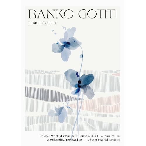 衣索比亞 耶加雪菲 果丁丁村G1 阿利姆布卡托