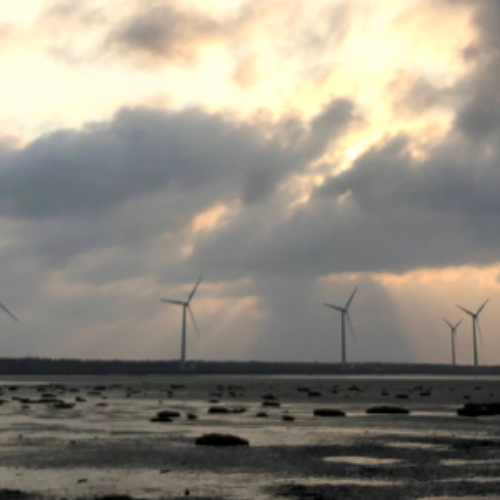 自然生態開步走-高美濕地小旅行