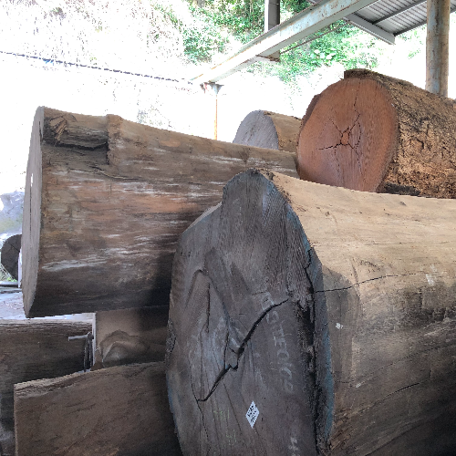 進口原木