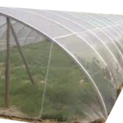 SGS認證防蟲網 Insect Net proofed  by SGS